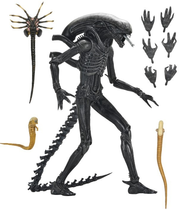 ALIEN ROMULUS フィギュア 約30cm NECA Alien Romulus Xenomorph XX121 7 Action Figure Ultimate