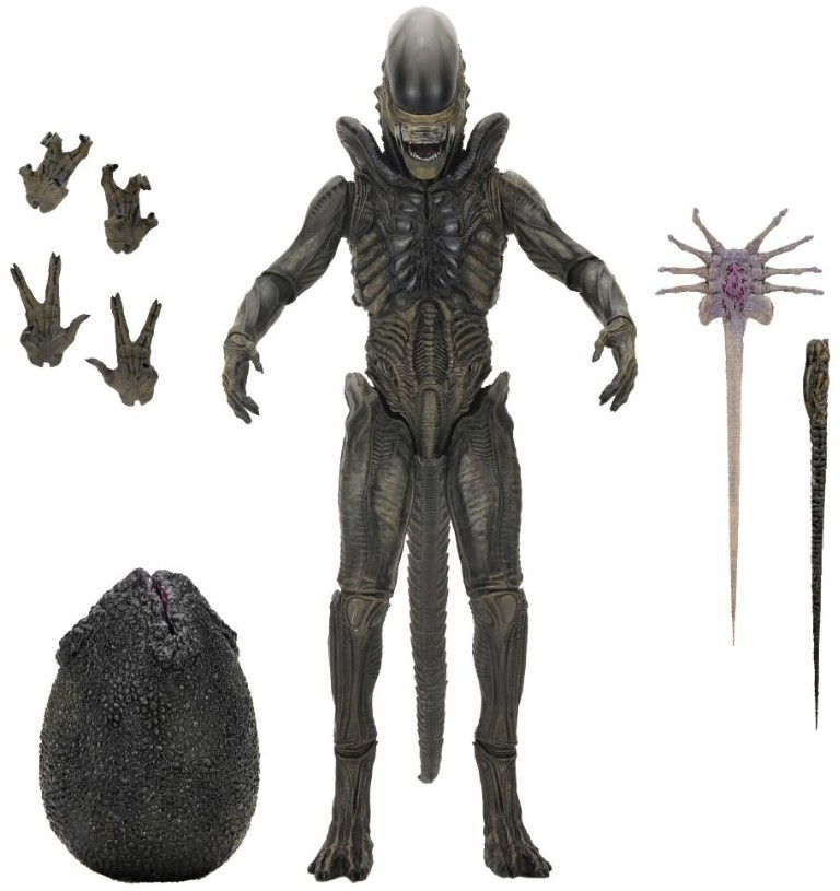 NECA Alien Earth Xenomorph Action Figure Ultimate Version (Pre-Order ships February)、ToyWiz、kayou