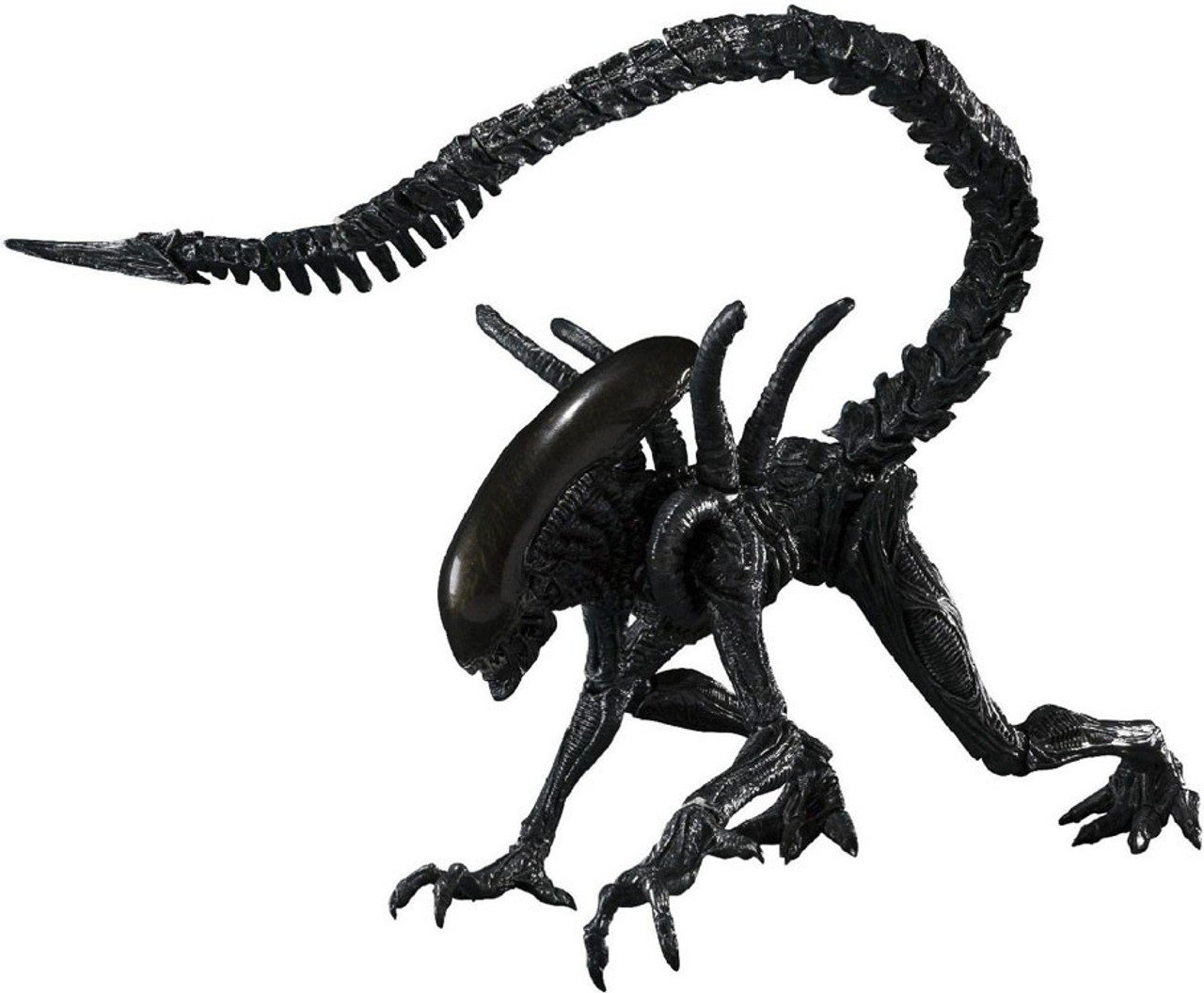Alien Vs Predator S H Monsterarts Alien Warrior 6 Action Figure Bandai America Toywiz - chestburster and facehugger roblox