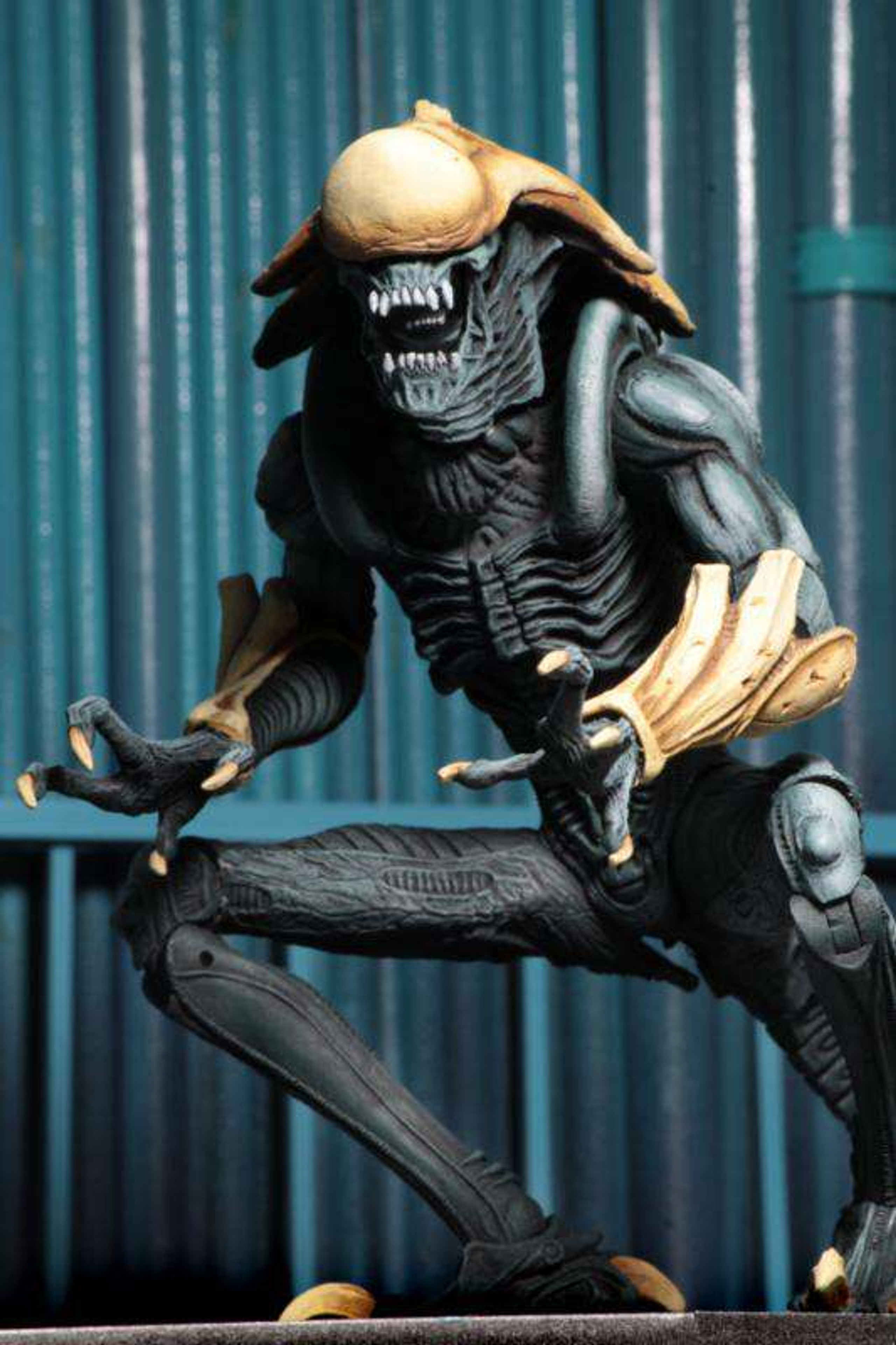 Neca Alien Vs Predator Arcade Game Chrysalis Alien 7 Action Figure Ultimate Body Toywiz 3050