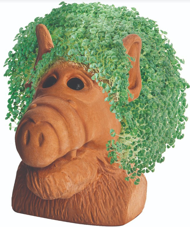 NECA ALF Alf Chia Pet ToyWiz