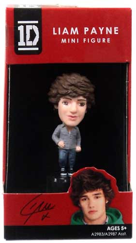 1D ONE DIRECTION LIAM PAYNE DOLL HASBRO 