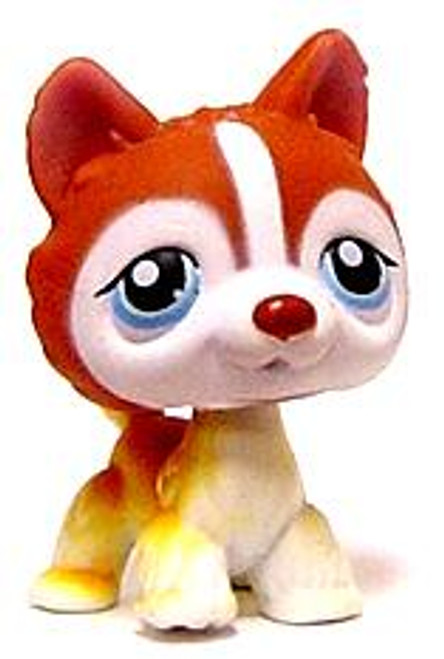 Littlest Pet Shop Portable Pets Skunk Figure 641 Furry Tail Garbage Pail Hasbro Toys Toywiz - skunk tail roblox