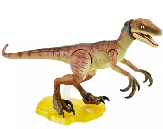 Jurassic World Amber Collection Velociraptor Echo Exclusive 6 5 Action Figure Mattel Toywiz Shop the top 25 most popular 1 at the best prices! jurassic world amber collection velociraptor echo exclusive action figure