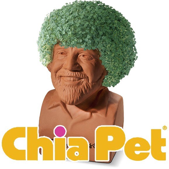 Chia Pet Chia Pet
