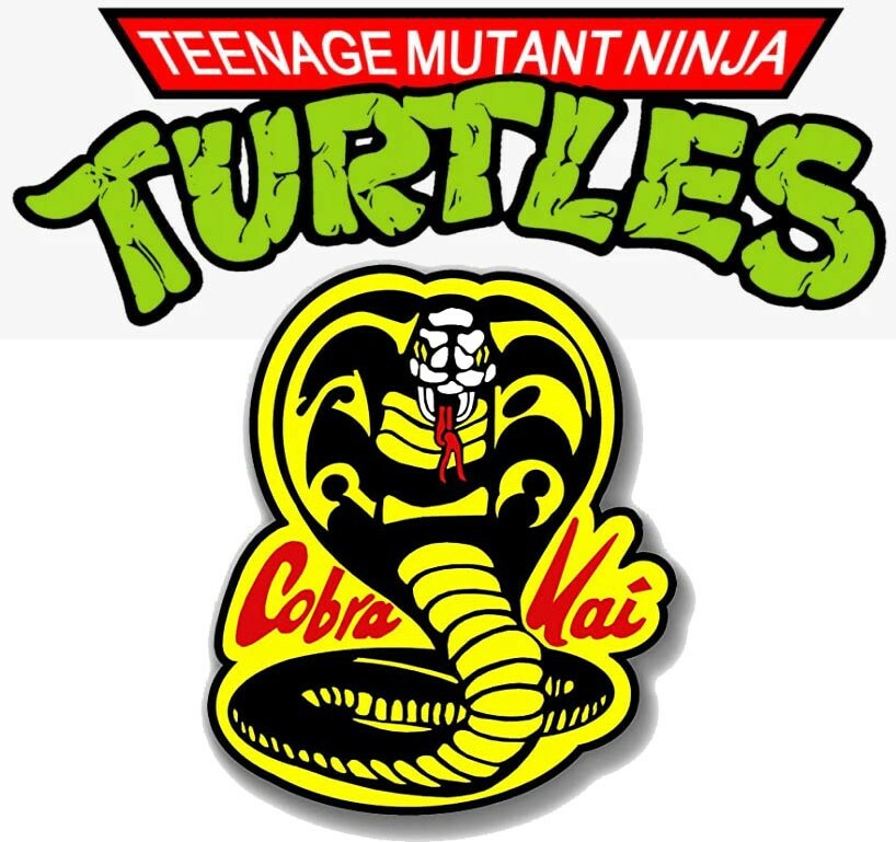 TMNT Vs Cobra Kai
