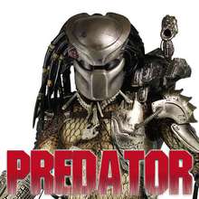Predator Predator