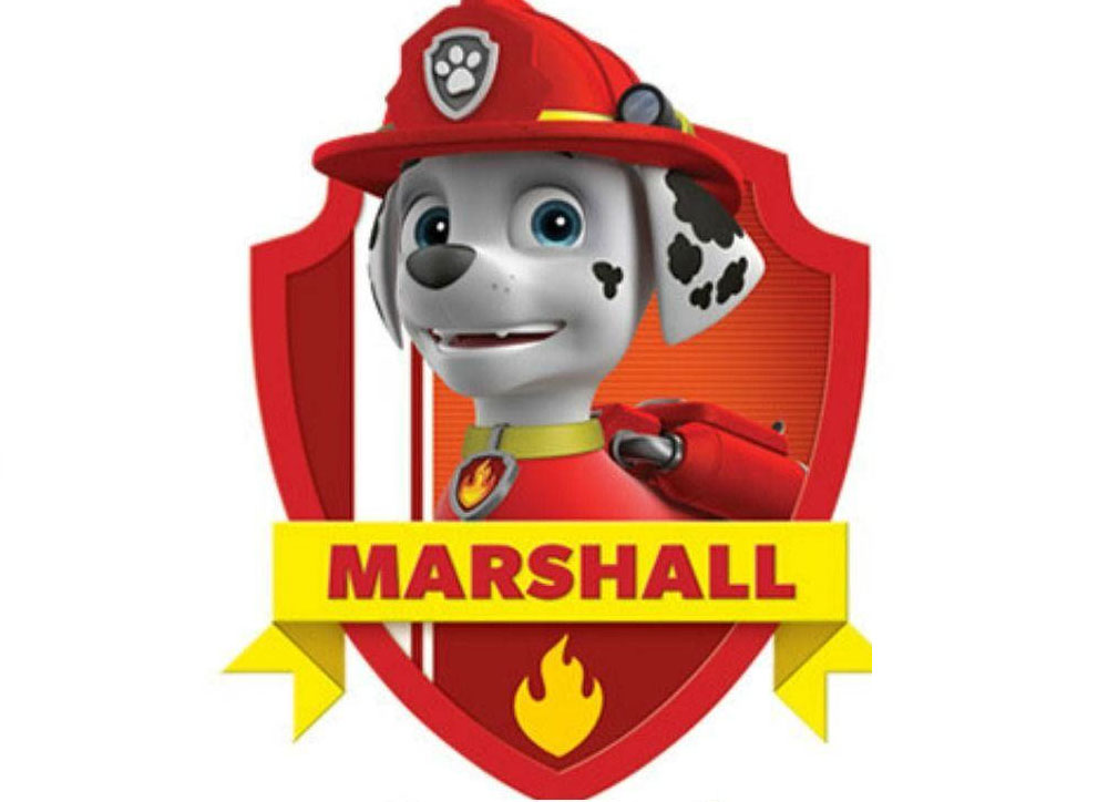 MARSHALL PAW PATROL TOYS, ACTION FIGURES & PLUSH