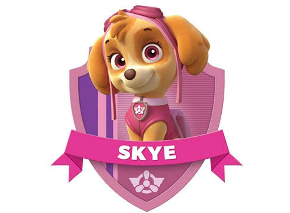 SKYE PAW PATROL TOYS, ACTION FIGURES & PLUSH