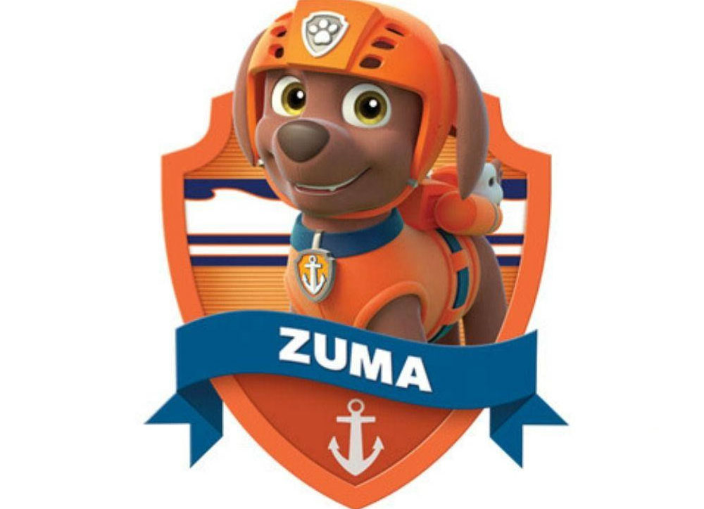 ZUMA PAW PATROL TOYS, ACTION FIGURES & PLUSH 