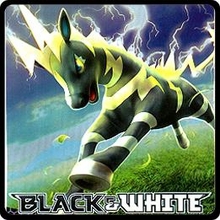 Black & White Black & White