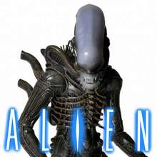 Aliens Aliens