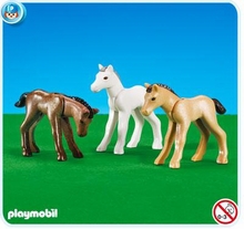 Pony Ranch