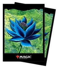 Standard Size Sleeves