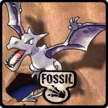Fossil Fossil