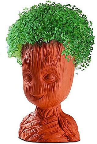 CHIA PETS