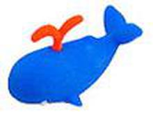 Animals & Aquatic Life