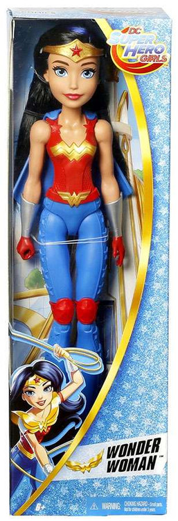 DC Super Hero Girls Mattel Dolls Training Dolls | The Toy Pool