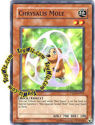 chrysalis deck yugioh Yu-Gi-Oh! - Chicky (TAEV-EN008) - Tactical Evolution - 1st Edition YuGiOh GX Trading Card Game