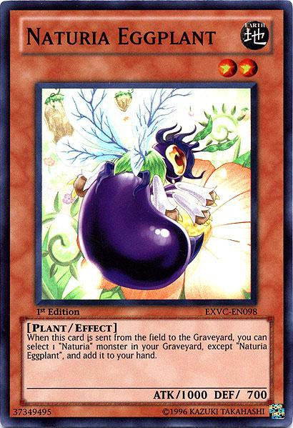 yugioh naturia deck 2011 Generic Complete Custom for Yu-Gi-Oh! You will receive the 1st Edition version of this card. YuGiOh Trading Card Game Photon