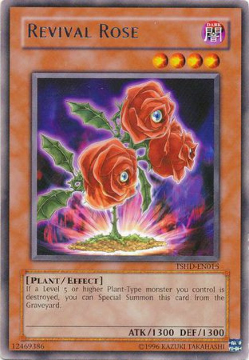 遊戯王5 apiowpdeg__71868.1562619407.