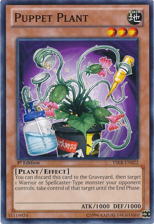yugioh plant deck 2014 Complete Custom for Yu-Gi-Oh! Plant/Effect How is everyone's plant deck