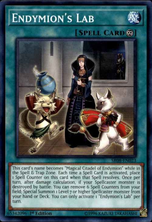 yugioh endymion structure deck YuGiOh Structure Deck Order of the Spellcasters Single Card Common  Endymions Lab SR08-EN023