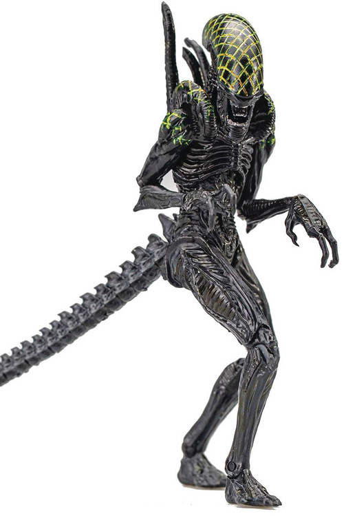 AVP GRID ALIEN 12インチアクションフィギュア AVP Alien vs. Predator Grid Xenomorph Alien Exclusive 118