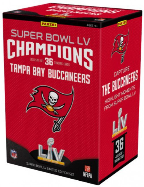 Tampa Bay Buccaneers Super Bowl LV Champions 5' x 8' Plush