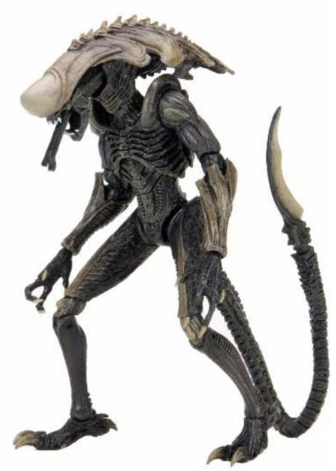 Amazon.com: NECA Aliens Series 7 AvP Warrior Action Figure