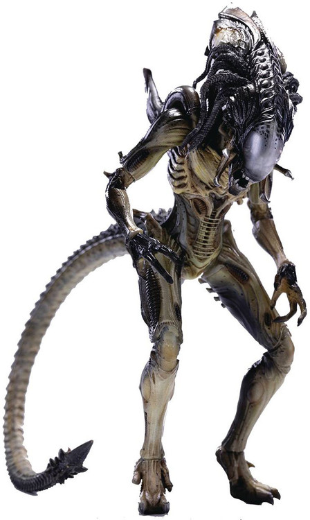 Everything You Need to Know About AVPR: Aliens vs Predator