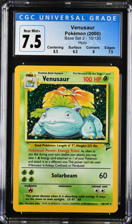venusaur holographic pokemon card Erika's Holo PSA 8 and Poisoned The Most Valuable Venusaur Pokemon