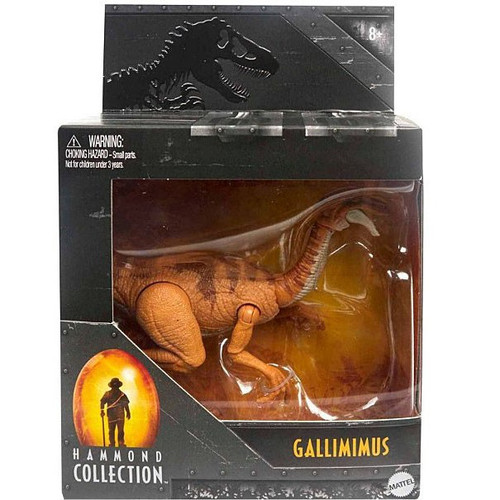 mthfg58__13573.1660937596.500.