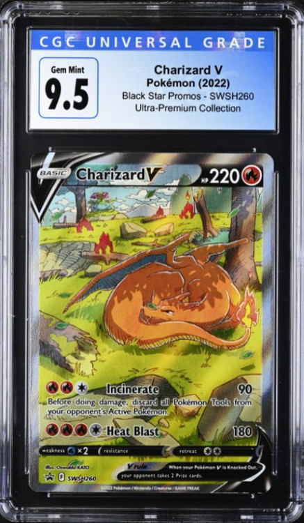 ポケモンカードゲーム Rough Seas WCS 2016 2016 ジガルデEX PSA 10 - カルドバ