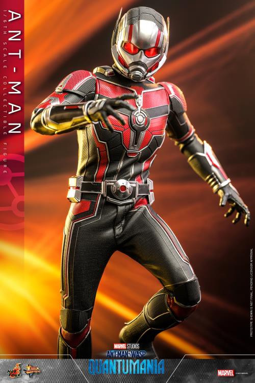  Marvel Legends Series Ant-Man,Ant-Man & The Wasp: Quantumania  Collectible 6-Inch Action Figures, Ages 4 and Up : Toys & Games