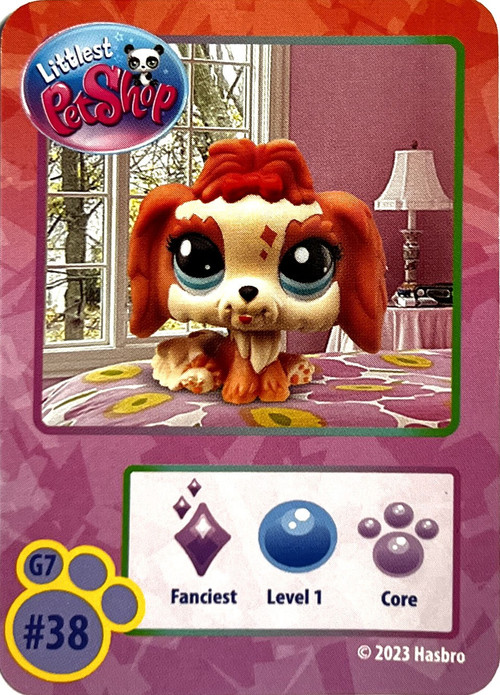 885561005516dogcard__85754.