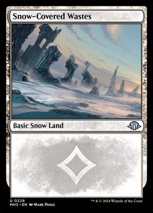 Magic The Gathering Modern Horizons 3 Single Card Uncommon Snow-Covered  Wastes 229 - ToyWiz