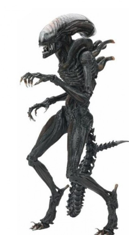 NECA Alien Romulus Scorched Xenomorph 7 Action Figure