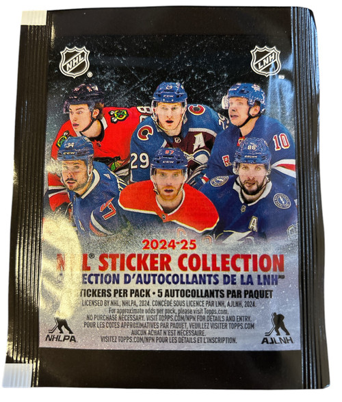 NHLホッケー チームステッカーセット 61gskpsqOGL.jpg_BO30,255,255,