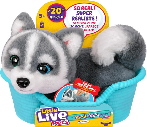 Little Live Pets My Really Real Puppy Aurora the Husky Interactive