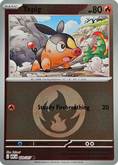 tepig pokemon card IR Case White series. Tepig 011 - Holofoil SV