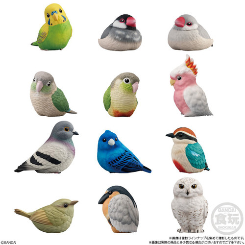 Tenori Friends Shokugan Tenori Friends 10 - Birds Box of 12