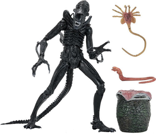 NECA Aliens 40th Anniversary Warrior Xenomorph 7 Action Figure
