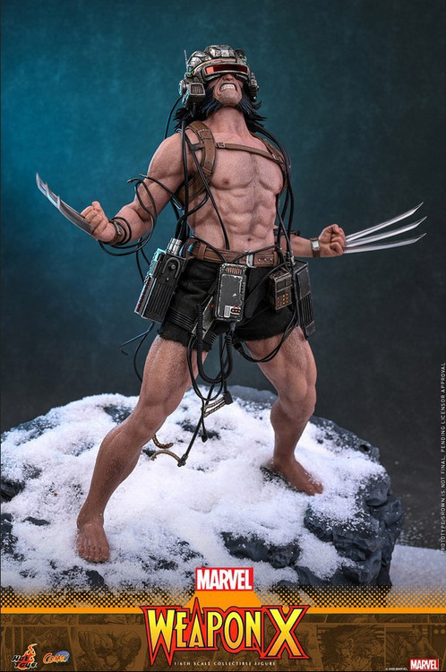 Marvel Weapon X Collectible Figure Wolverine (Pre-Order ships July 2027)、ToyWiz、kayou