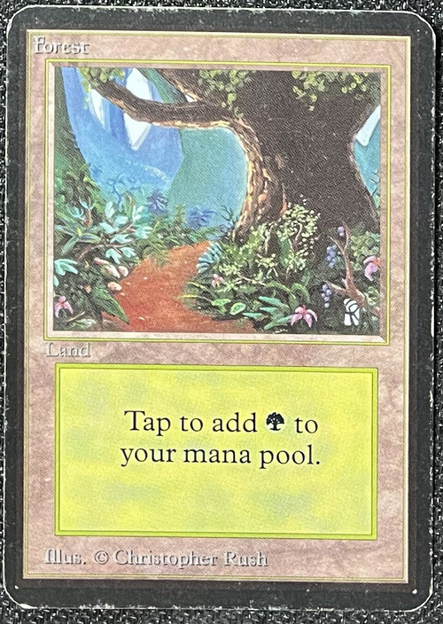 MtG Alpha Forest Basic Land Heavily Played、ToyWiz、kayou