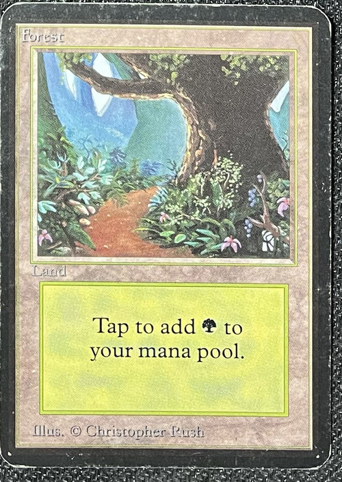 Magic the Gathering Alpha Single Card Forest Basic Land 017