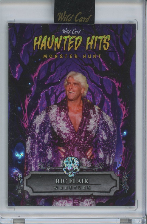 WWE 2025 Wild Card Haunted Hits 1/4 Ric Flair、ToyWiz、kayou