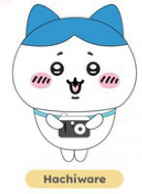 Chiikawa Hachiware 8-Inch Plush (Pre-Order ships October)、ToyWiz、kayou