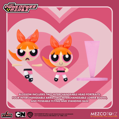 Powerpuff Girls 5 Points Blossom Action Figure、ToyWiz、kayou