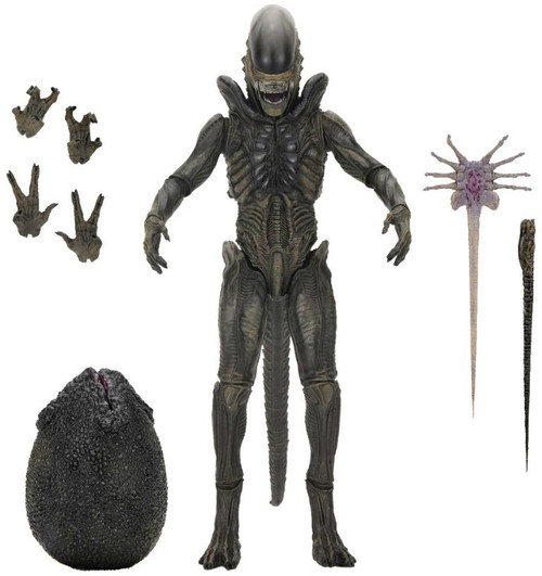 NECA Alien Earth Xenomorph Action Figure Ultimate Version (Pre-Order ships February)、ToyWiz、kayou